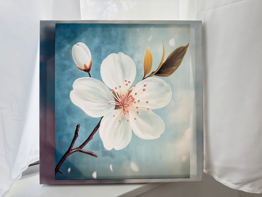 Elegant White Blossom Canvas Print – Framed Wall Art